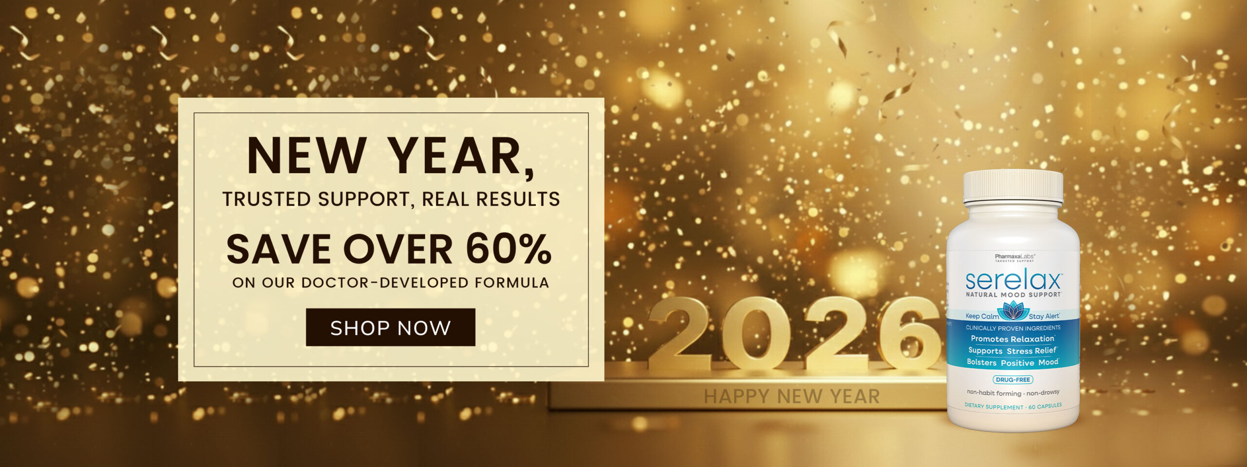 New year Sale